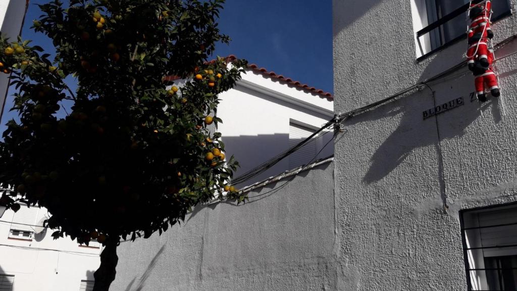 Luciano saltó la tapia que da desde la calle al patio de la casa materna de Mari Carmen