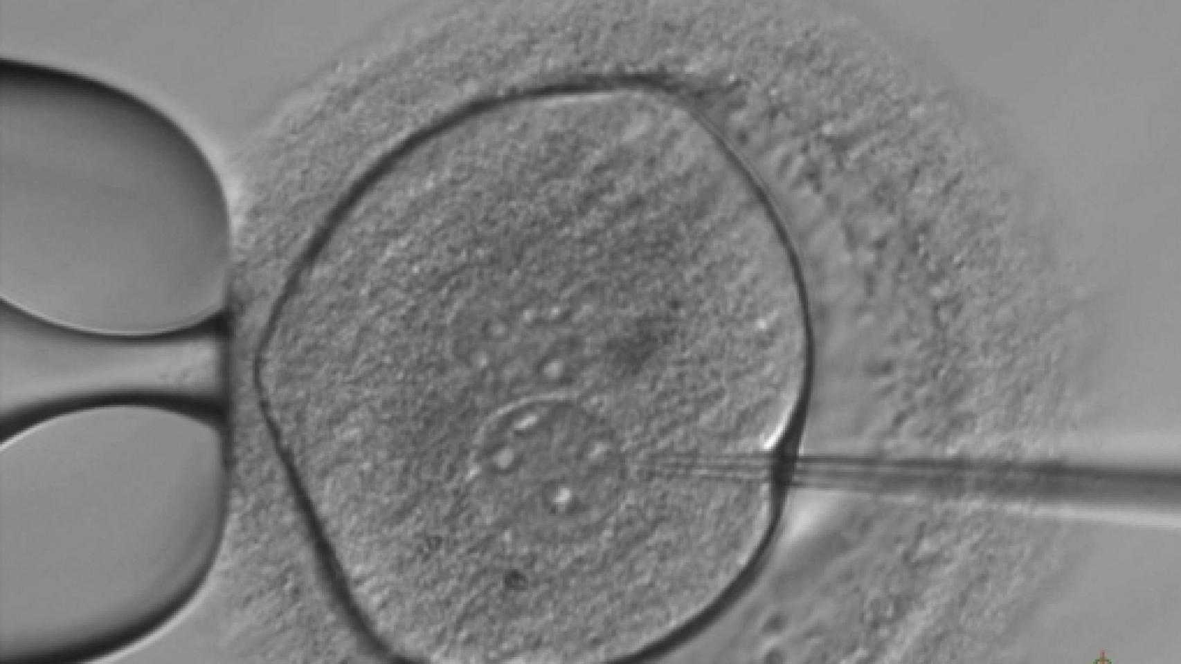 Image: El genio ya está fuera de la botella