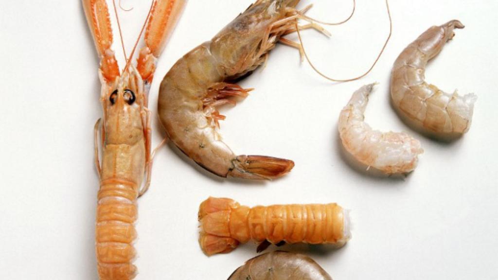 Varias especies de langostino y gamba.