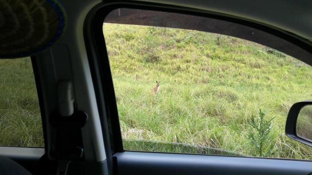 Australia en toda su gloria.