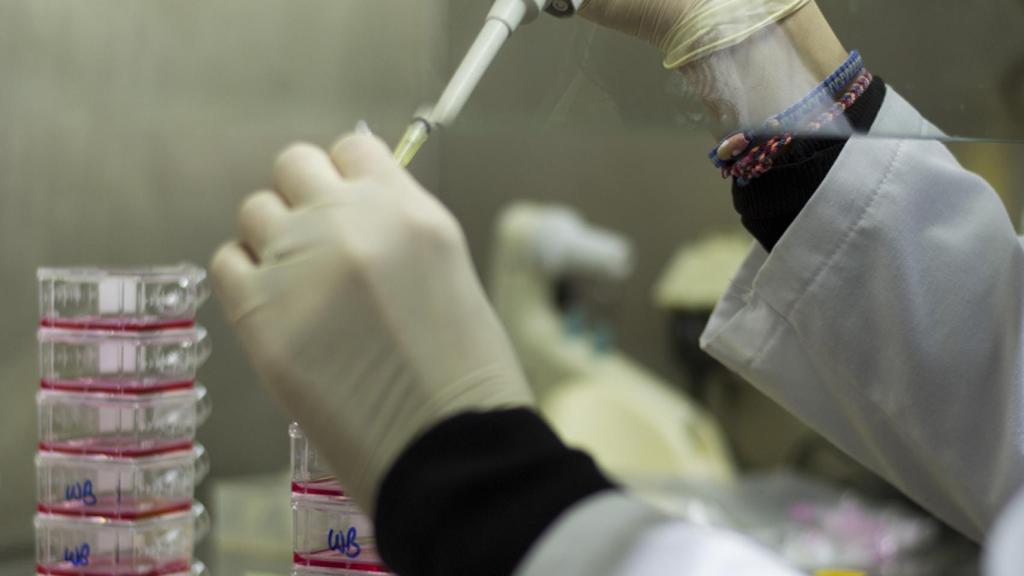 Diagnosticar la escoliosis sin rayos X, gracias a la biotecnología de una startup española