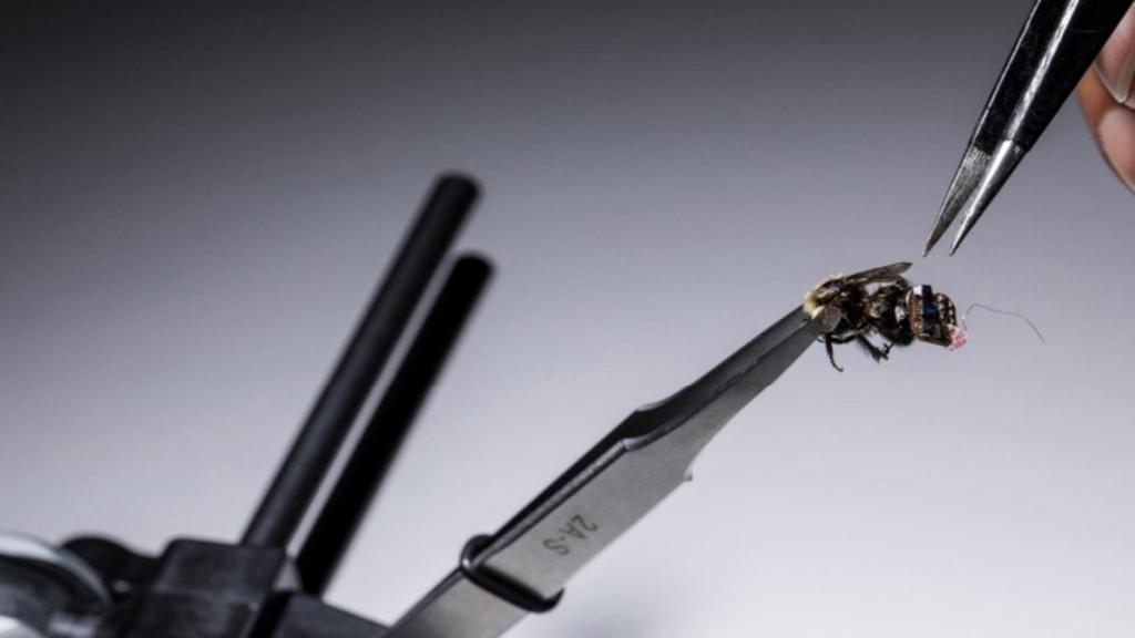 Es una investigación liderada por  Shyam Gollakota, director del Laboratorio de Redes y Sistemas Móviles de la Universidad de Washington.