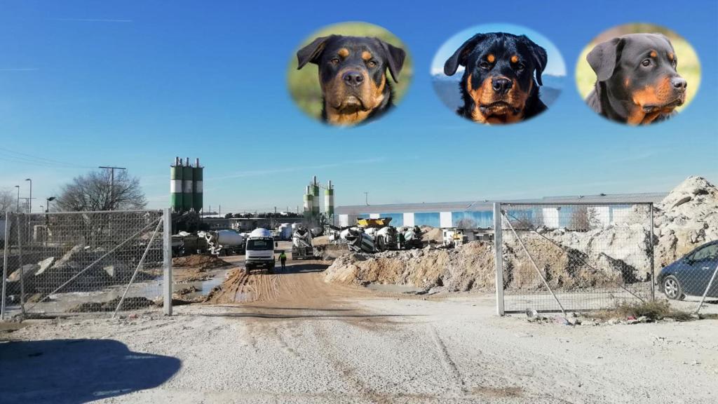 Entrada de la cementera  donde tres rottweiler atacaron a un anciano