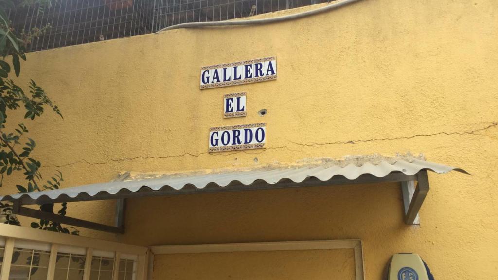 El criadero de gallos de pelea del Gordo es uno de los más famosos de Murcia