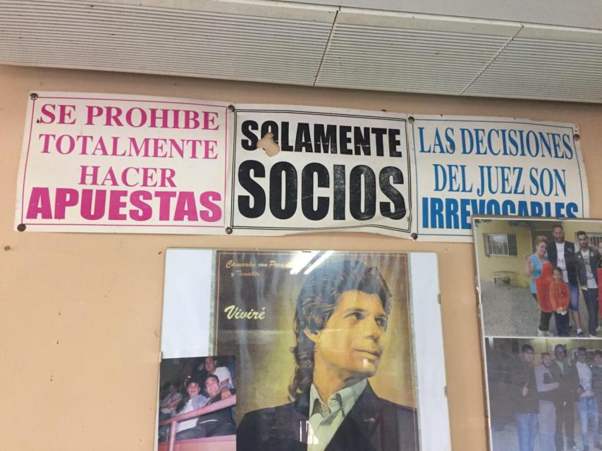 Imágenes del interior del reñidero