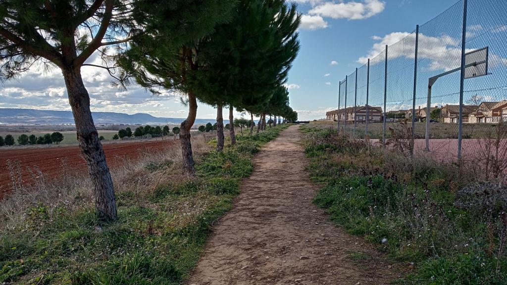 Parque en el que Miriam sacaba a sus perros. A la izquierda está el camino donde apareció muerta.