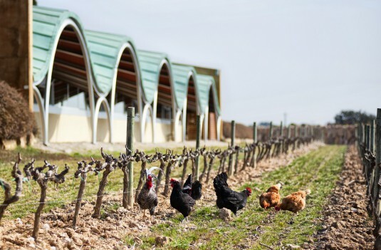 Gramona-1-prueba-535x351