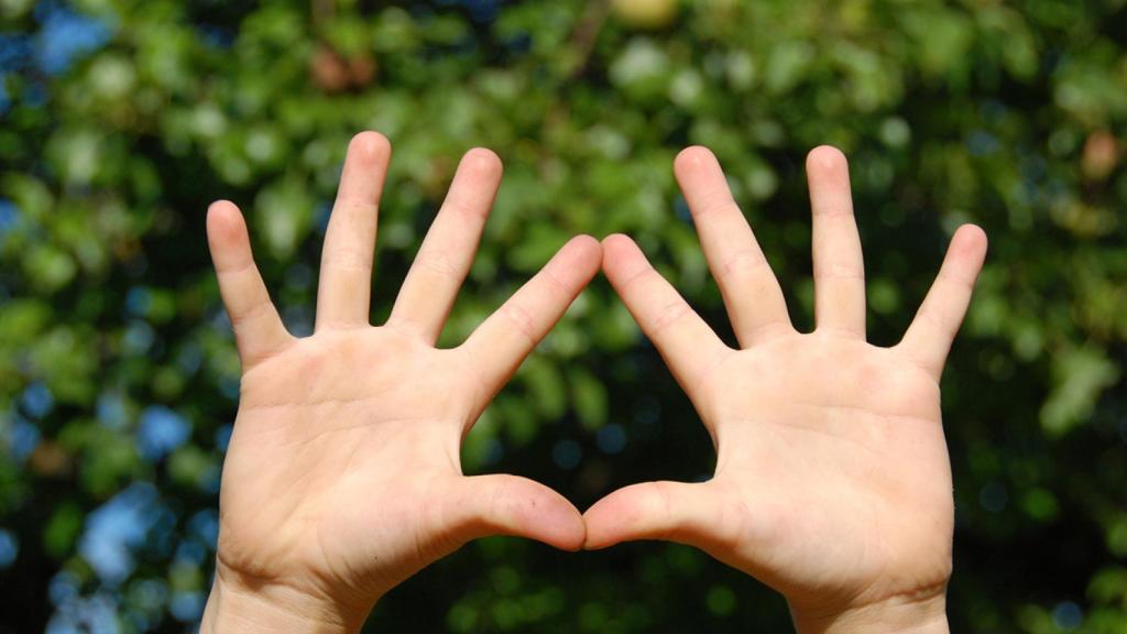 La Era Cúbica mata a Euclides