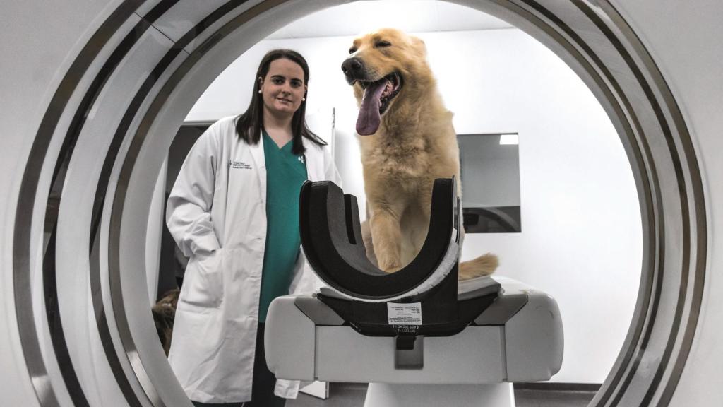 Paloma González de Ramos, directora del Hospital Veterinario 4 de Octubre