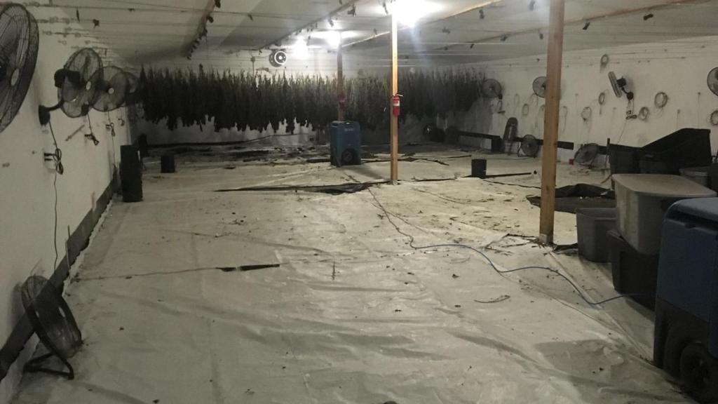 Interior de una granja tras la intervención policial