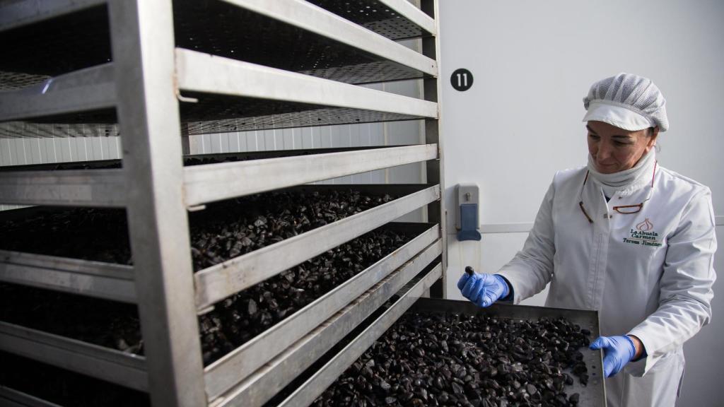 El precio de un kilo de ajo negro japonés es hasta dos o tres veces mayor, según la temporada, frente al ajo negro español.