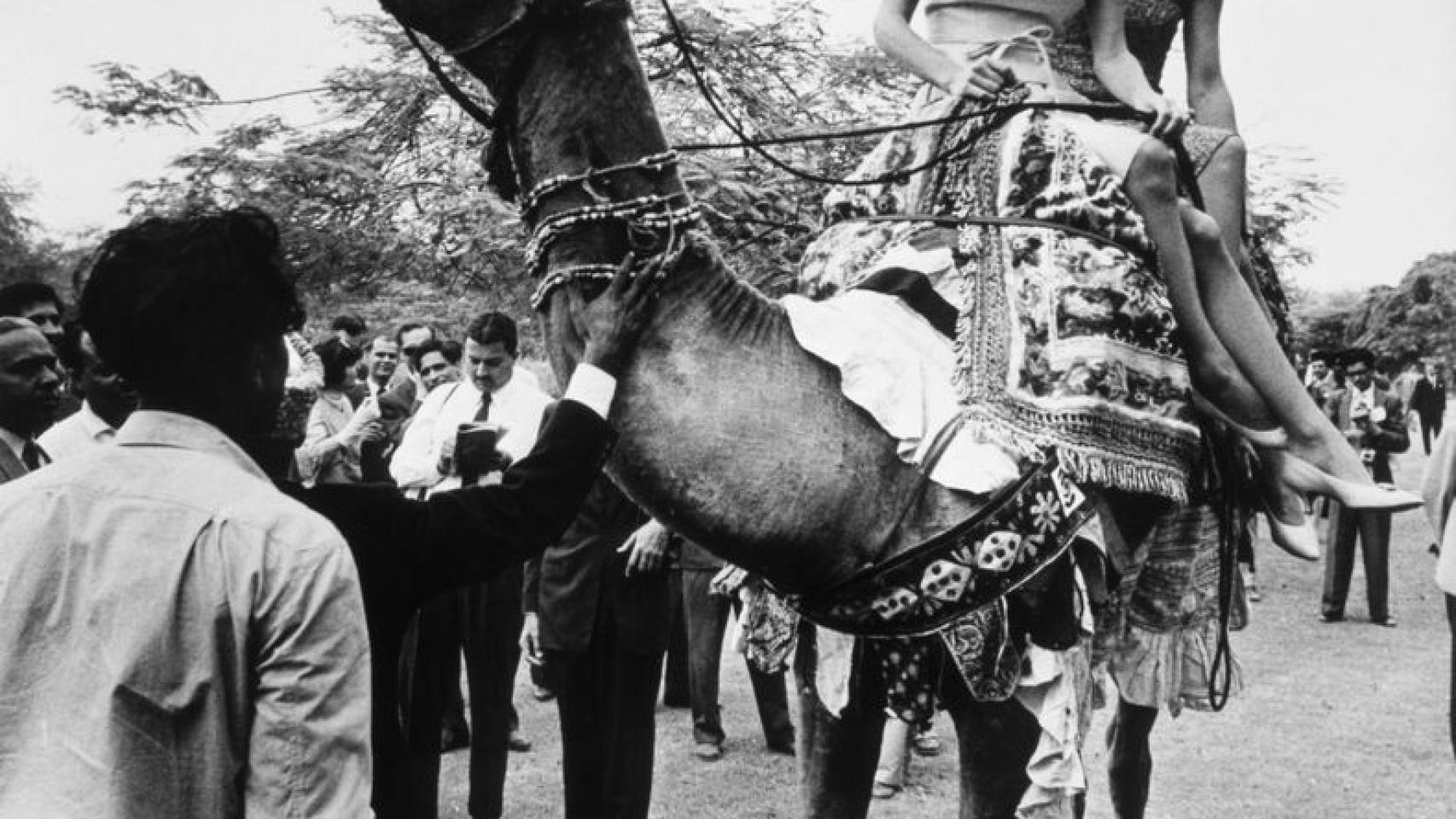 La vida de Lee, en imágenes