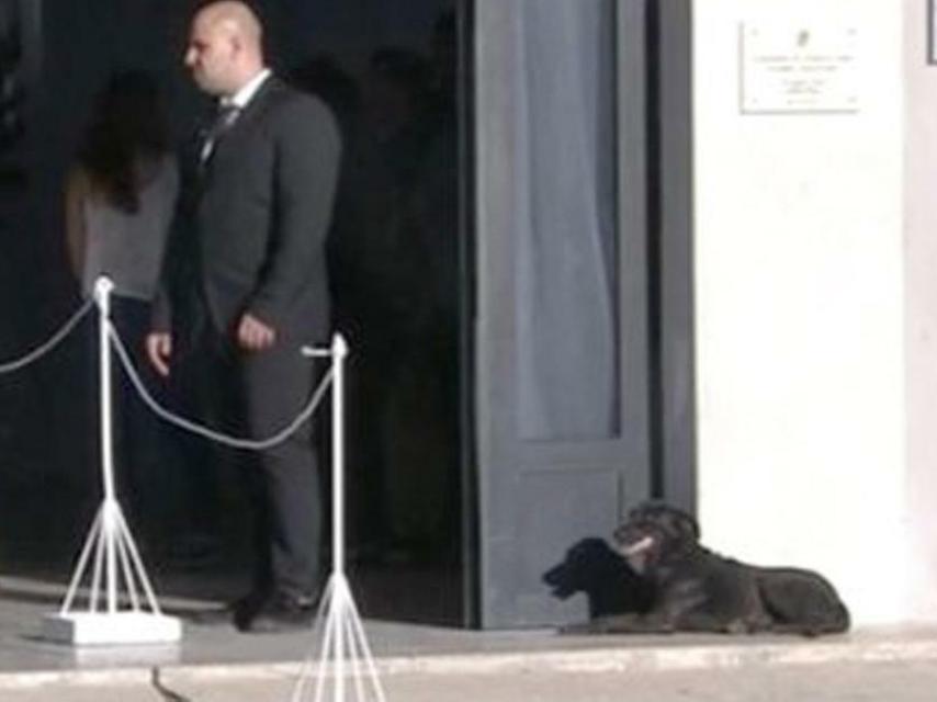 Nala a las puertas del velatorio de Sala. Foto: Twitter.