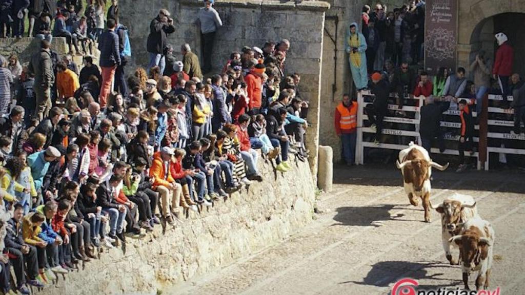 Salamanca-Ciudad-Rodrigo-Encierro-a-caballo-carnaval-del-toro-14