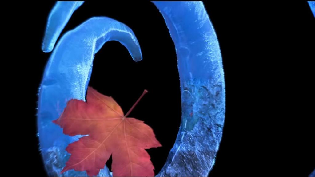 Lo pillamos, es una hoja caduca