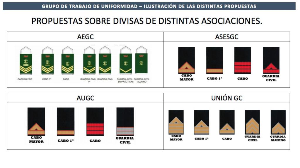 Distintos diseños sobre los que trabaja el grupo de Uniformidad.