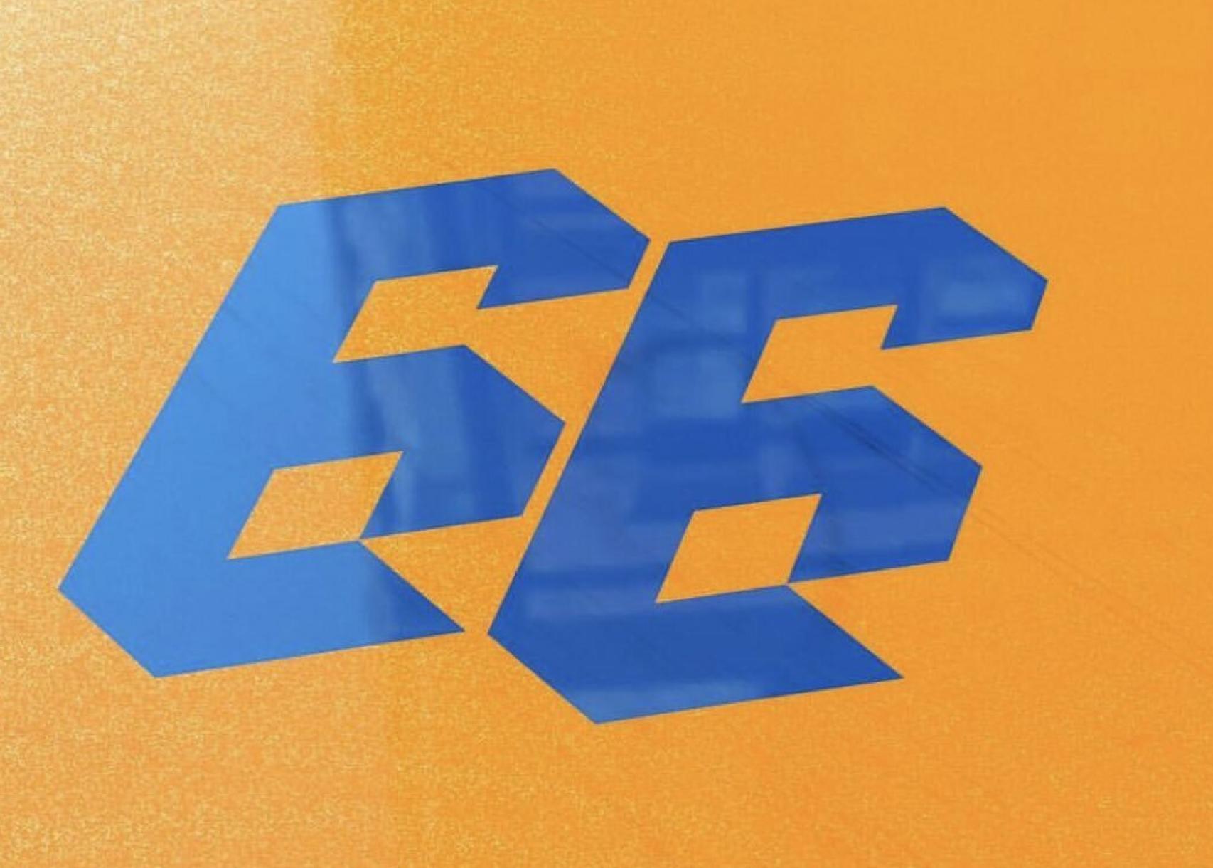 El dorsal de Fernando Alonso