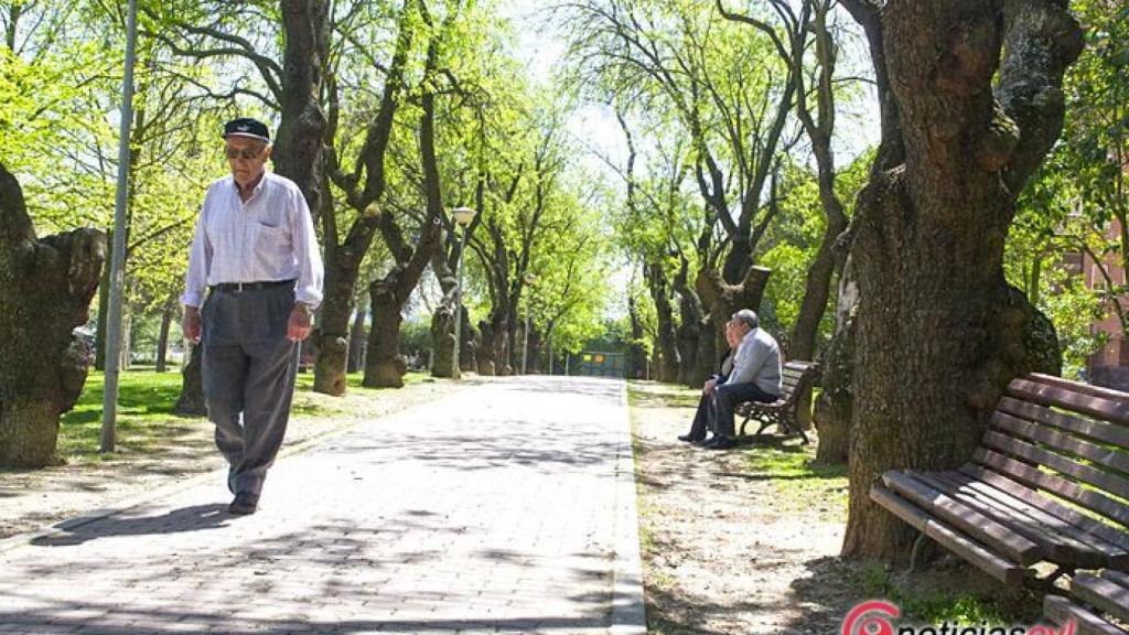 Valladolid-primavera-reportaje-atipica-flores-9