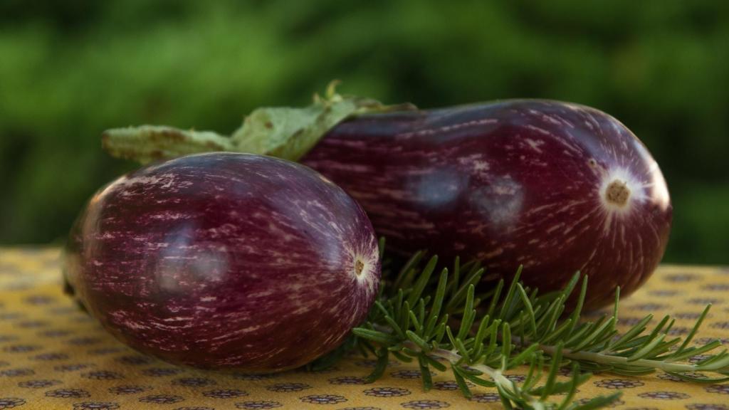 Unas hermosísimas berenjenas.