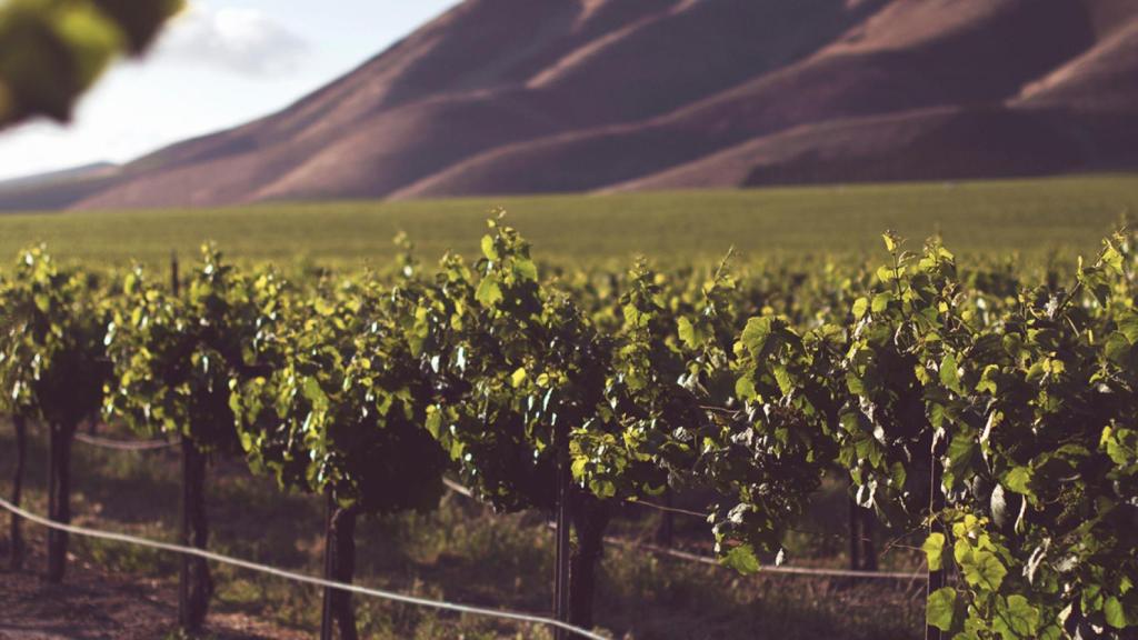 Sensores para automatizar el trasvase de líquidos en las fábricas de embotellado