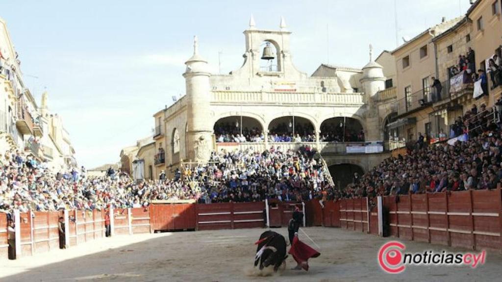 Salamanca-Ciudad-Rodrigo-novillada-carnaval-del-toro-02