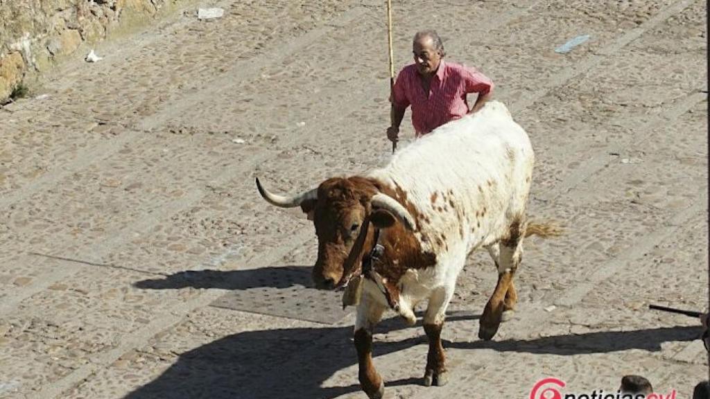 Salamanca-Ciudad-Rodrigo-Encierro-a-caballo-carnaval-del-toro-16