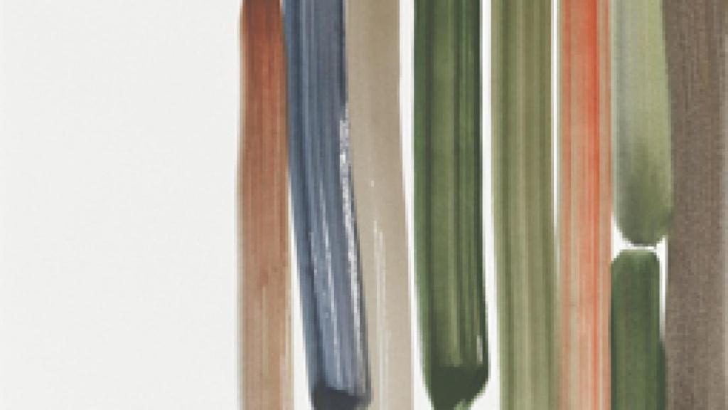 Image: Silvia Bächli, una aventura cotidiana