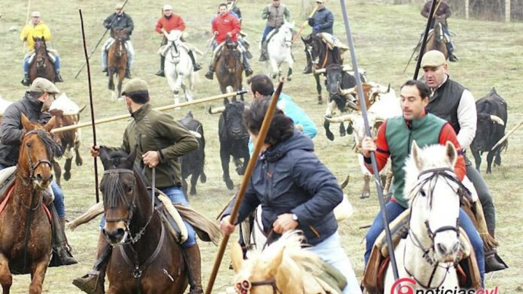 Salamanca-Ciudad-Rodrigo-Encierro-a-caballo-carnaval-del-toro-02