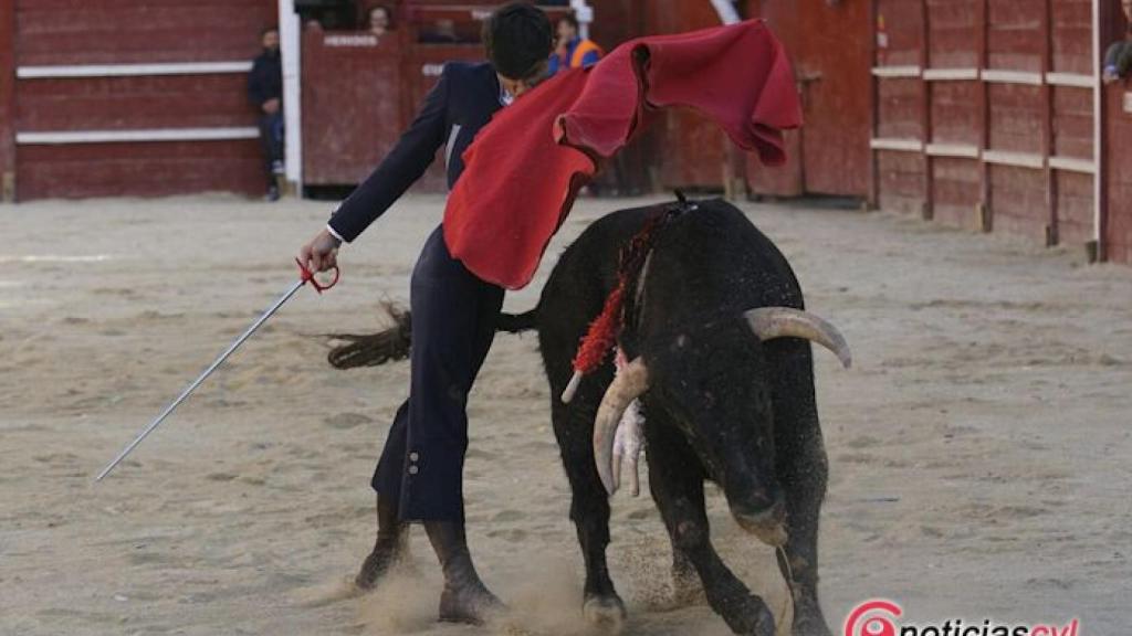 Salamanca-Ciudad-Rodrigo-novillada-carnaval-del-toro-07