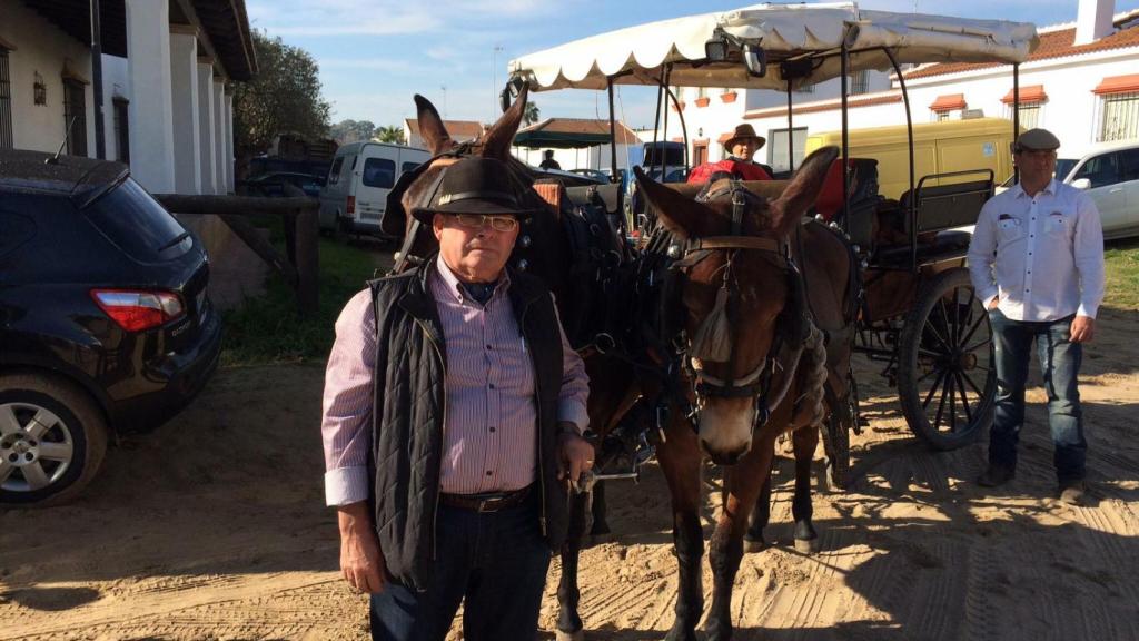 Antonio con sus mulas en la Romería del Rocío.