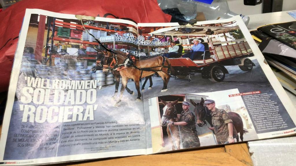 Reportaje en 'Interviú' de las mulas castellanas de Antonio Ruiz