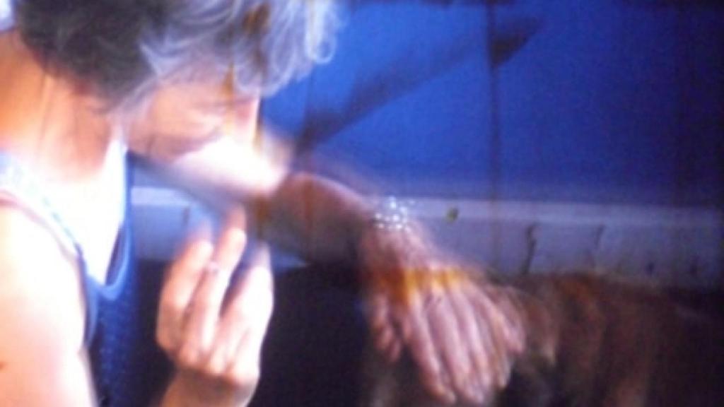 Image: Punto de Vista, el paraíso de la no-ficción