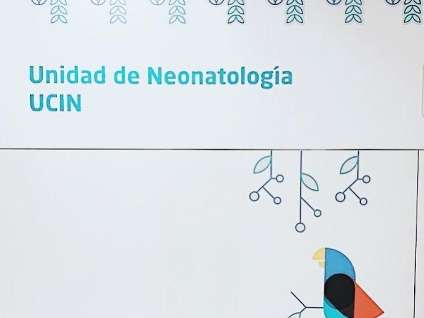 Publicación de Verdeliss en su cuenta de Instagram.