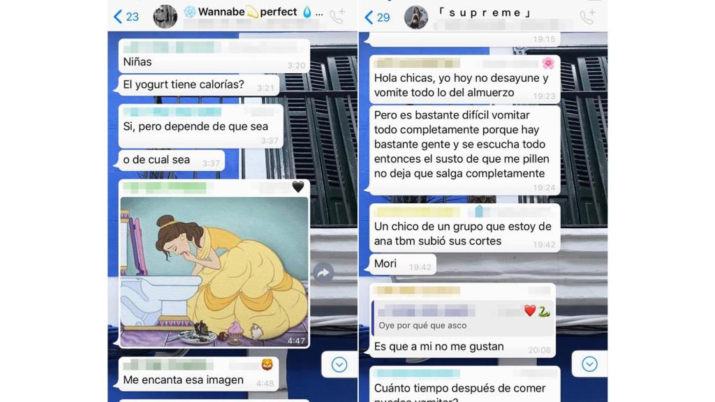 Muchas de las usuarias creen que se convertirán en princesas si vomitan todo lo que comen.