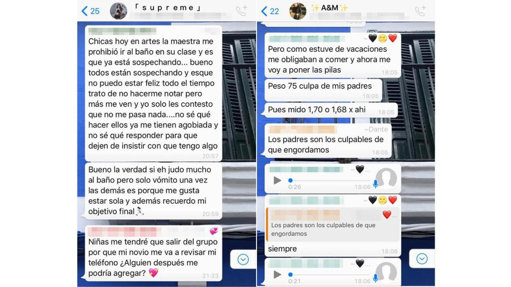 Intentan disimular su enfermedad, pero muchos padres y profesores las descubren. Por eso les culpan de no poder adelgazar.