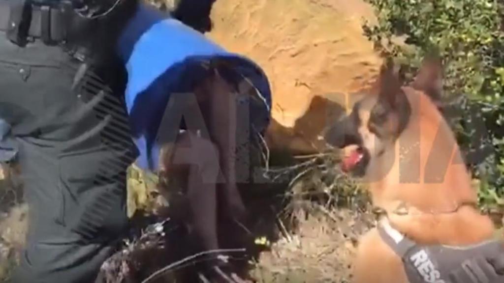 Fue Chico, un perro de la Guardia Civil, quien encontró a la supuesta asesina dentro de un bidón.