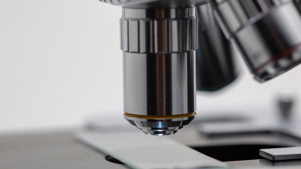 El gigante farmacéutico Pfizer invierte 45 millones en la biotech española Vivet Therapeutics