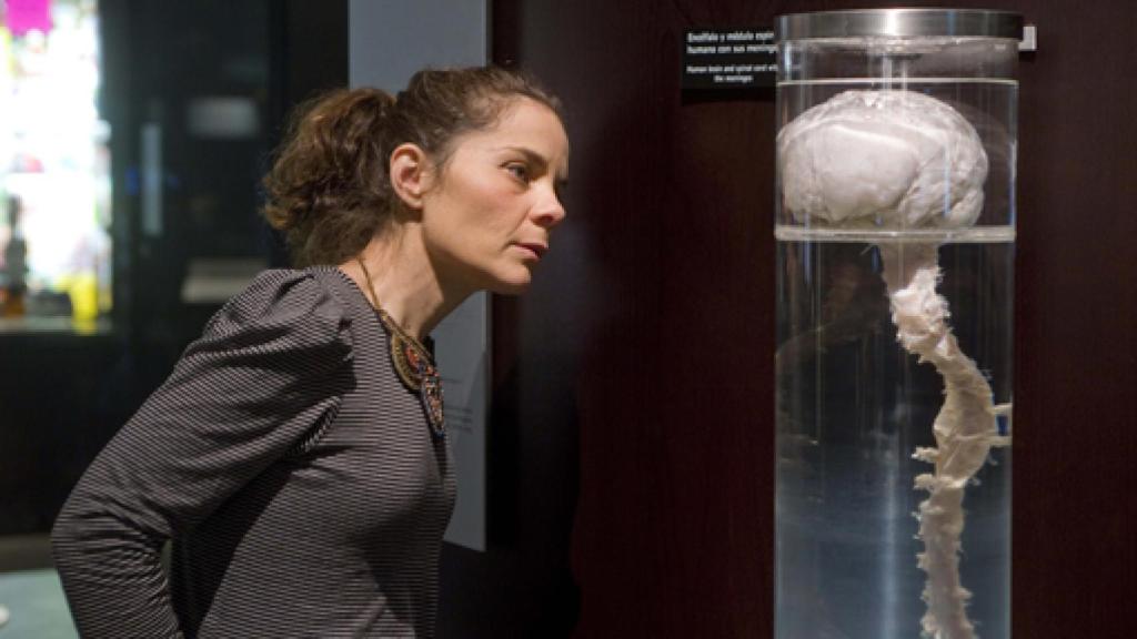 Image: El cerebro entra en campaña