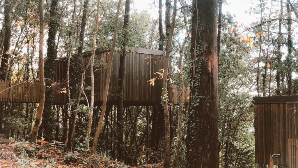 Cabañitas del Bosque.