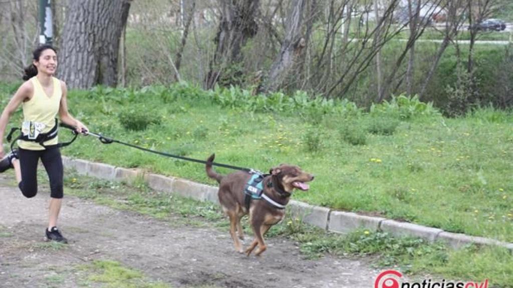 Canicross de Salamanca (62)