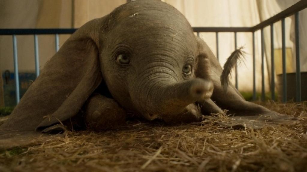 Image: Tim Burton anima a Dumbo