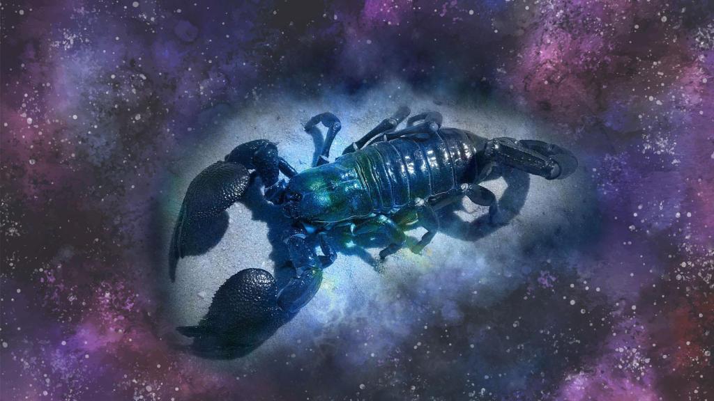 Signo del zodiaco Escorpio