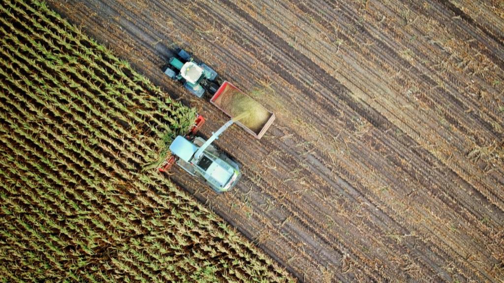 La hipocresía de Europa