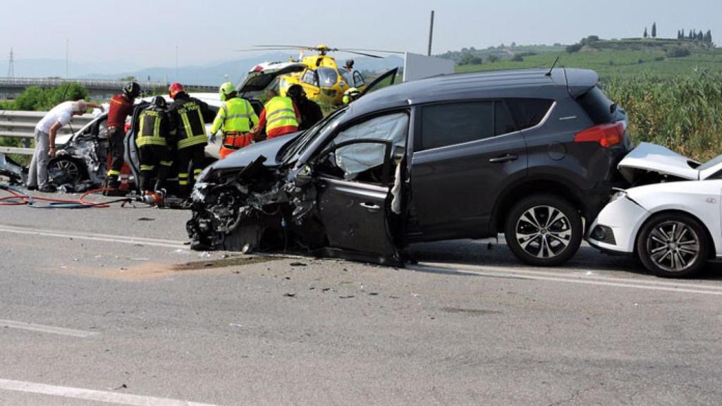 accidente-trafico-fauna