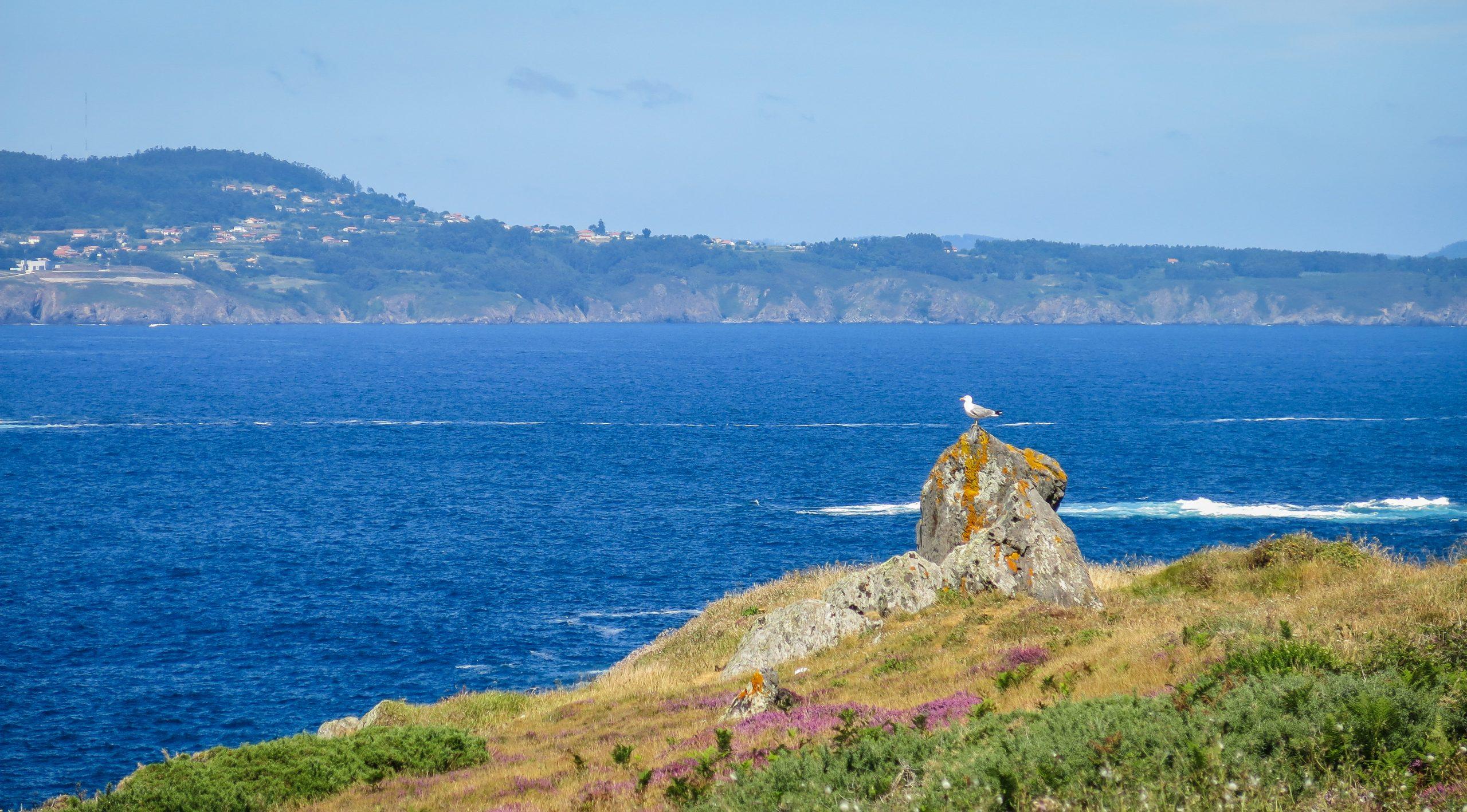 El Seixo Branco, en Oleiros.