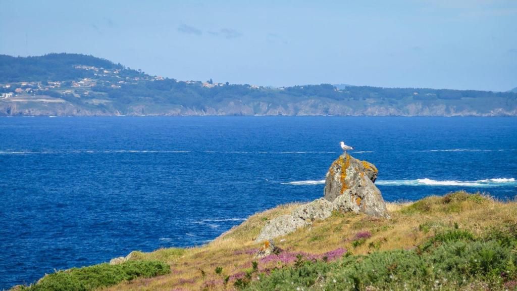 El Seixo Branco, en Oleiros.