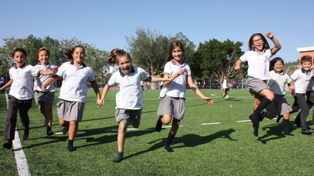 Newton College (Elche)