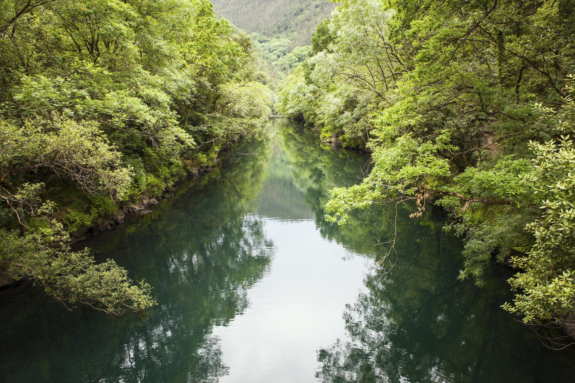 Imagen de las Fragas do Eume