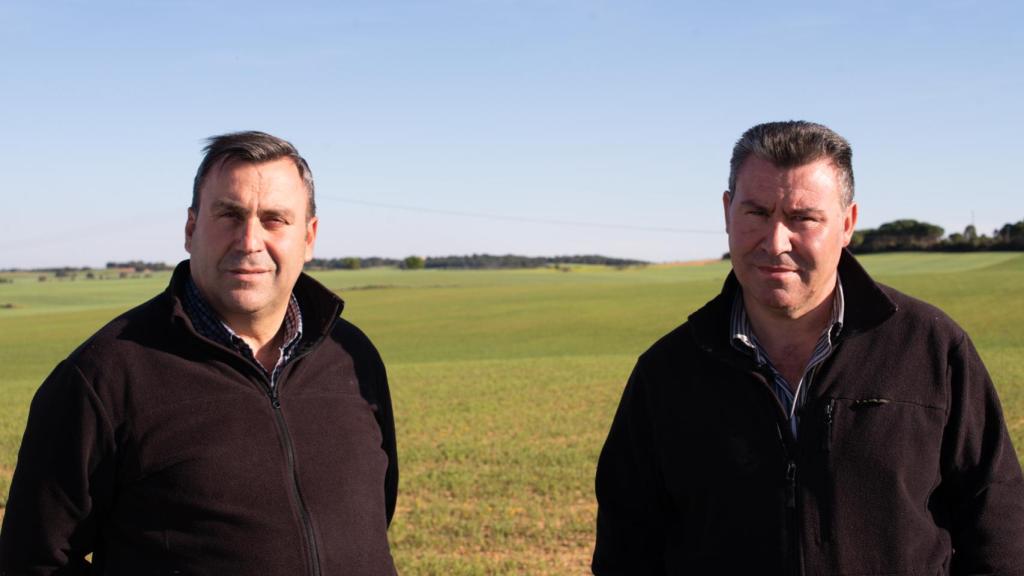 Los hermanos Ernesto y Rufino contreras frente a uno de sus cultivos de lenteja.