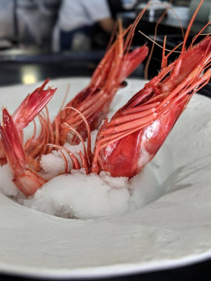 Casa Manolo - Gamba de Gandía